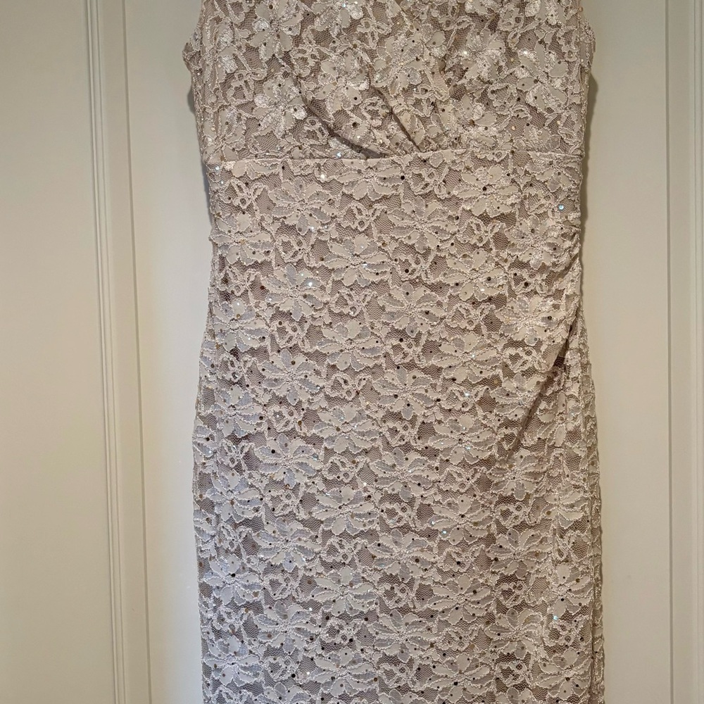 Dress Barn Elegant Lace Sleeveless Dress